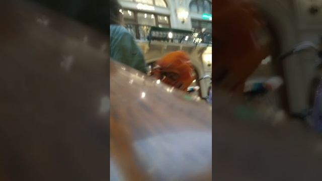 Вся история про мышь