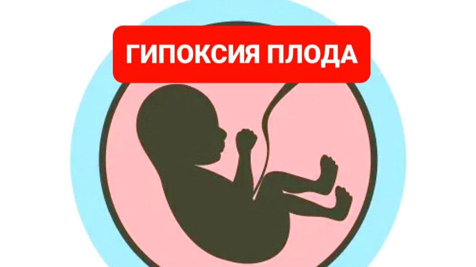 ВКЛЮЧАЙТЕ В СВОЙ РАЦИОН ....