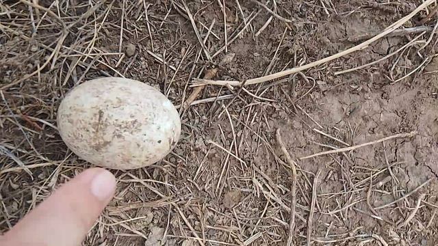 Чисто моя логика