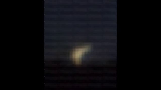 Днепропетровщина 10 08 25_ Гераньки в Васильковке и Синельниково