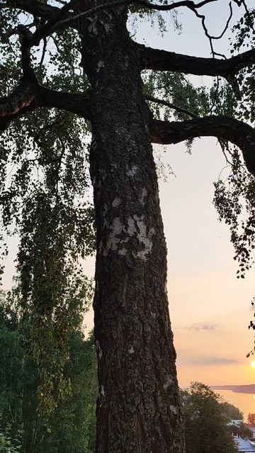 плес вечер.mp4