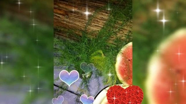 🍉 АРБУЗ 🍉 7 АВГУСТА 2025 г.🍉