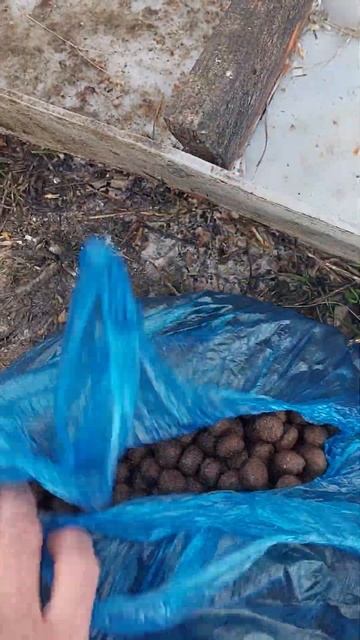 Очень нужен корм