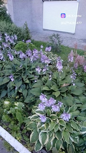 YouCut_20250808_232230137.mp4