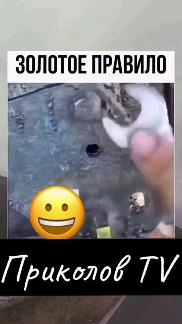 Золотое правило 🤣