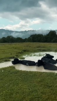 Неожиданные встречи в турах