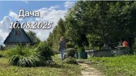 ДАЧА 10.08.25