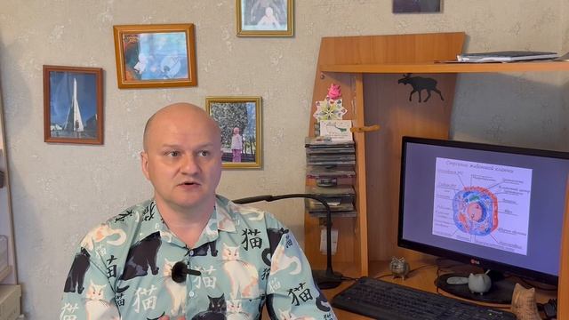 О митохондриальной ДНК