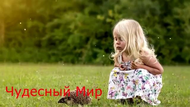 360p_Сказки_на_ночь_Задумчивый_Ёжик_Мультфильмы_для_детей