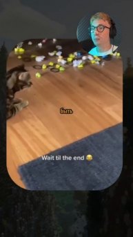 Смешнее не бывает! Эти ролики взорвут ваш лайк 👍 #ХохотДоСлез #ЖивотныеТикТок #ВирРулит