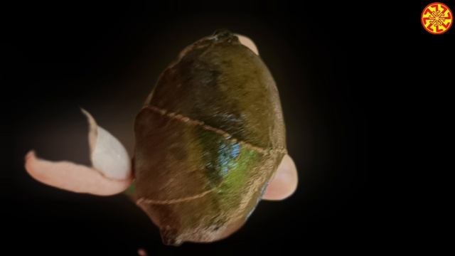 Яйцо со смертью Кощея и его зуб 😅🔥🔥