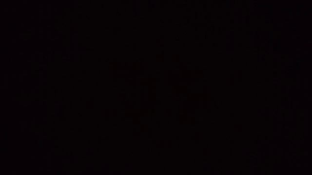 Павел Цупик - История Афганистана (В. Г Коргун) гл. 1, стр.11-20