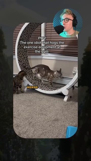 Эти звери украдут ваше сердце! ❤️🐶 #ЖивотныеШутят #ВесельеНеБывает #ТопТикТок