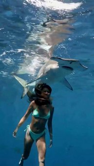 Купание с акулой (ai)