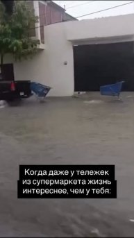 Тележка в телешечку