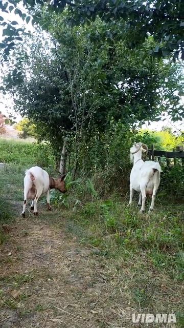 А скоро лето кончится.