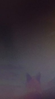 Летняя сходка в #Wildcraft