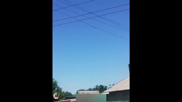 Покровское 10 08 25_ Букет Гераней в Белозёрском