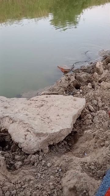 Она, по тебе скучала