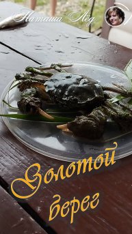 Рыбалка на базе отдыха Золотой берег