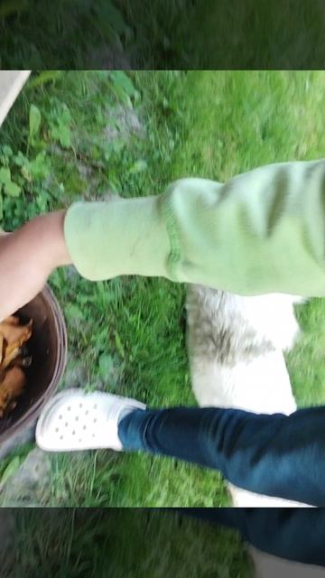 Насобирали тут