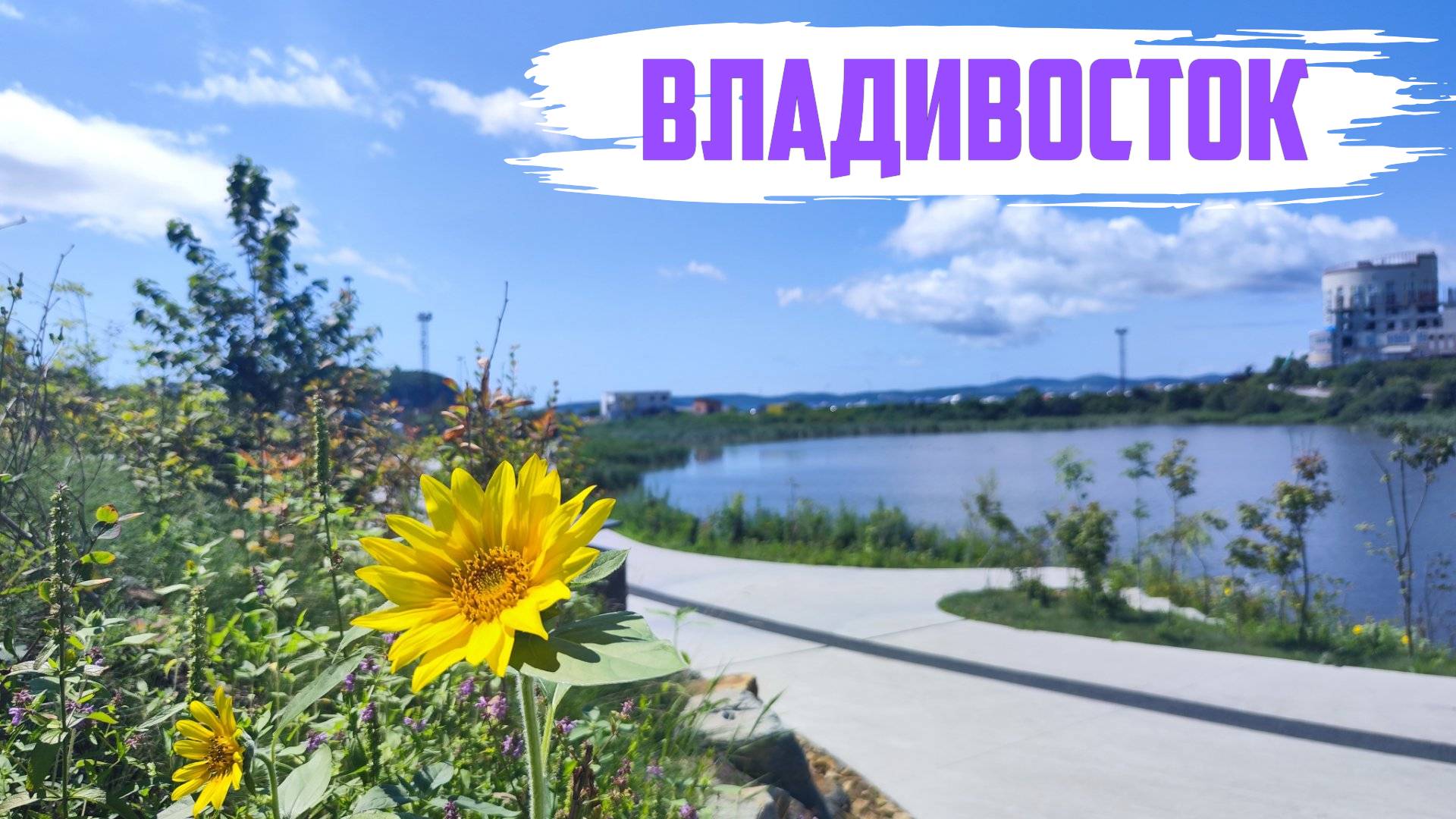 Владивосток август 2025