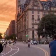 📍New York 🇺🇸