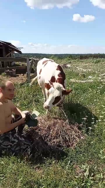 С Мантрой, 8.08.25