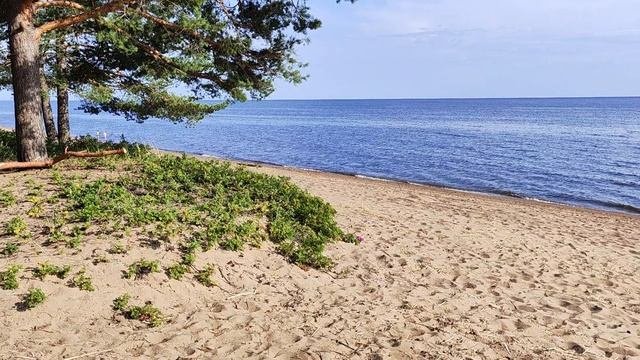 Я буду долго гнать велосипед...