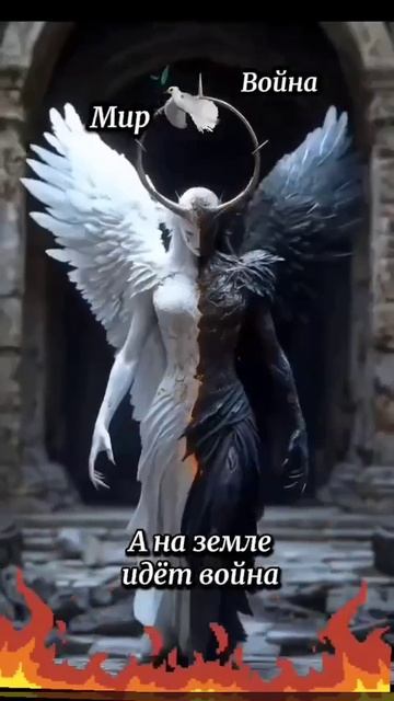 1000029902.mp4