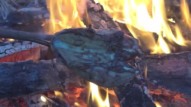 Шашлык из рябчика. Дежурное блюдо таежных охотников.