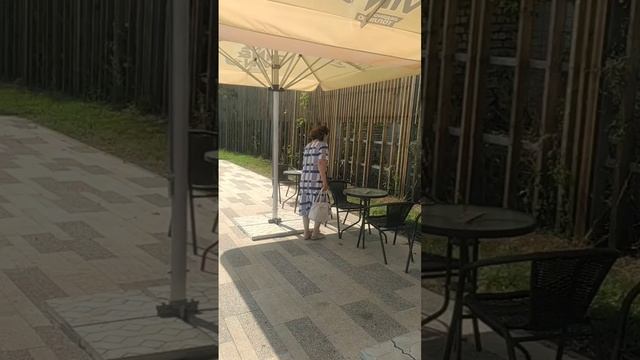 Центральный Волжский пляж и набережная в Саратове 8.08.2025