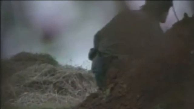 Подразделения боснийских сербов в боях против боевиков хорватов в западной Боснии, 1994 год