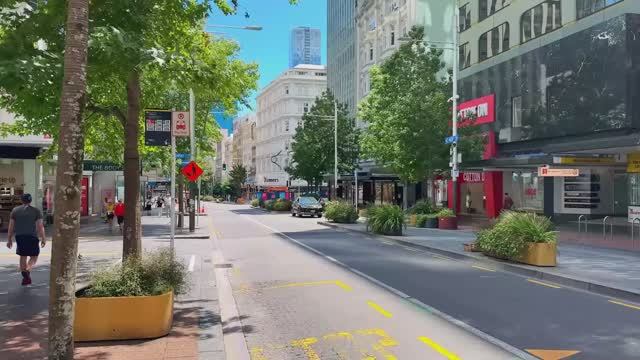 🇳🇿 Окленд, Новая Зеландия - двухчасовая прогулка по городу / 2025