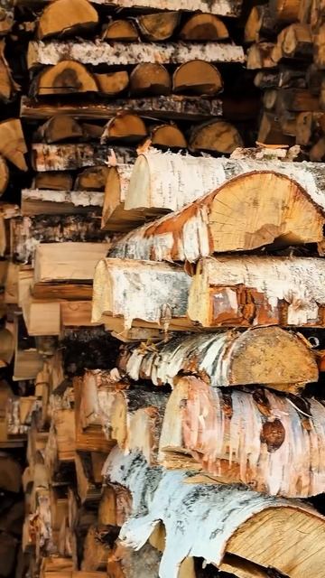 Спасо-Каменный монастырь