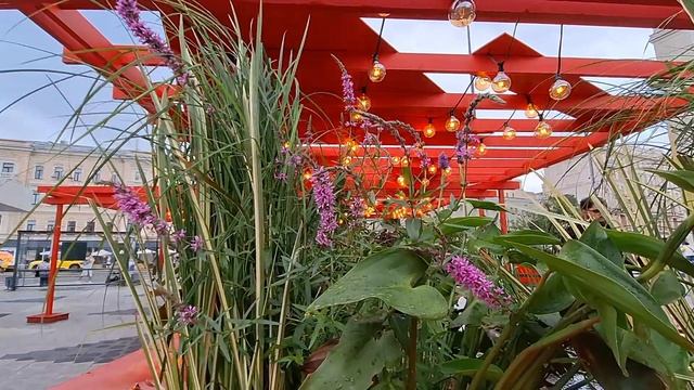 Вечерняя прогулка возле станции метро Маяковского.Приехали посмотреть новую инсталяцию-9.08.2025 г.