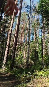 Соколиный камень