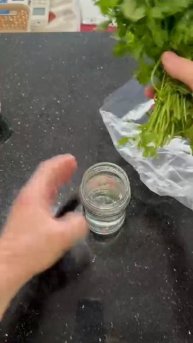 How to store fresh herbs