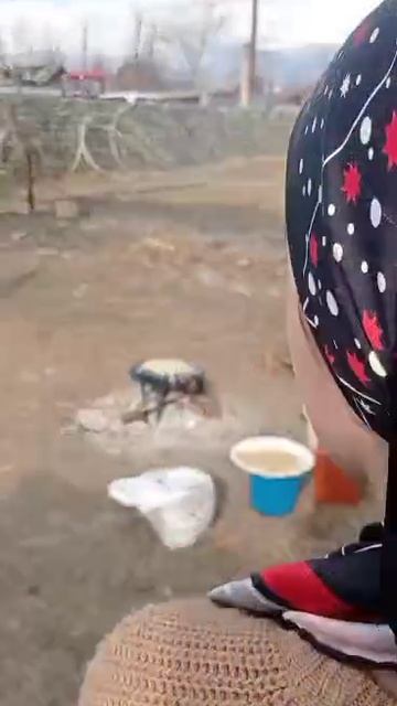 6887ef0f-3c86-4e27-880e-d97102e97a69