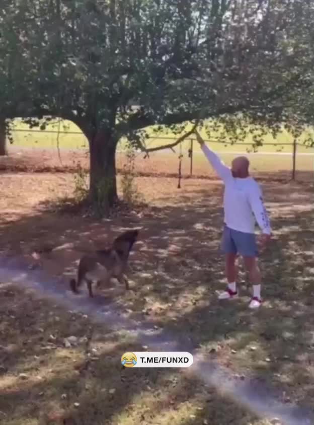 Чтоб не смеялся!😆