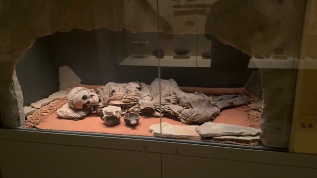 ВЛОГ: наш отдых в ПИТЕРЕ ✨ Петергоф, Эрмитаж | цены, лайфхаки и кешбеки | часть 2