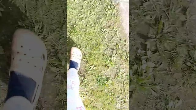 ПОБЕГ ИЗ ТЮРЬМЫ(2ЧАСТЬ)