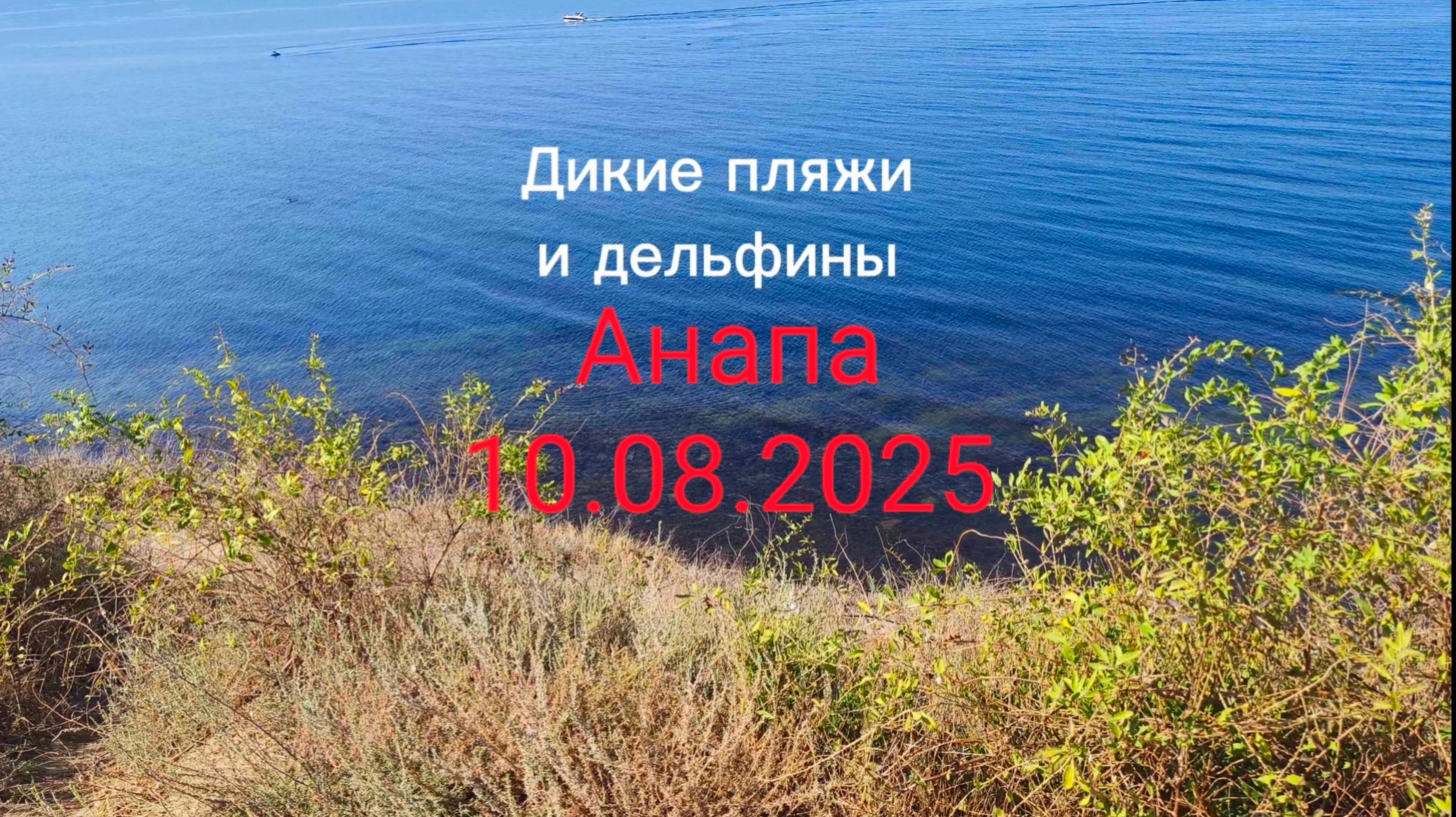 Анапа 10.08.2025 Дикие пляжи и Дельфины
