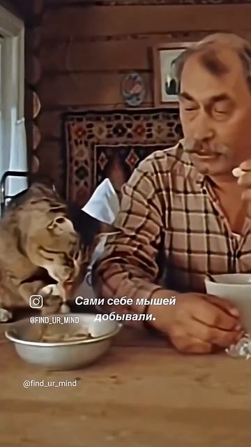 10 августа 2025 г.