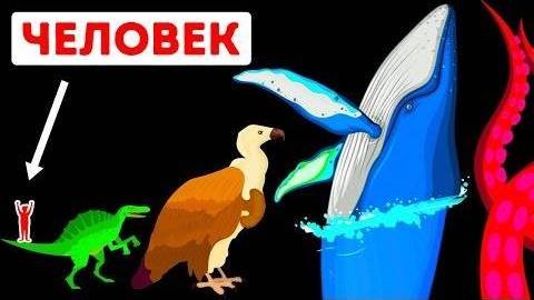 Самое большое существо кто оно