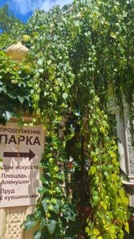 Откройте для себя жемчужины Краснодарского края: Абрау-Дюрсо, Геленджик и Кабардинка 🌊❤️