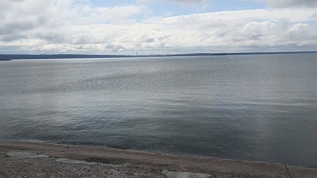 жизнь волна