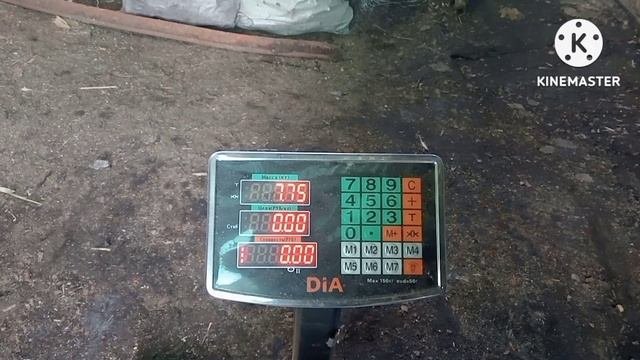 Очередные случайности. Часть #9.