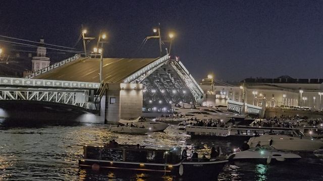 Развод мостов Санкт-Петербург 2025