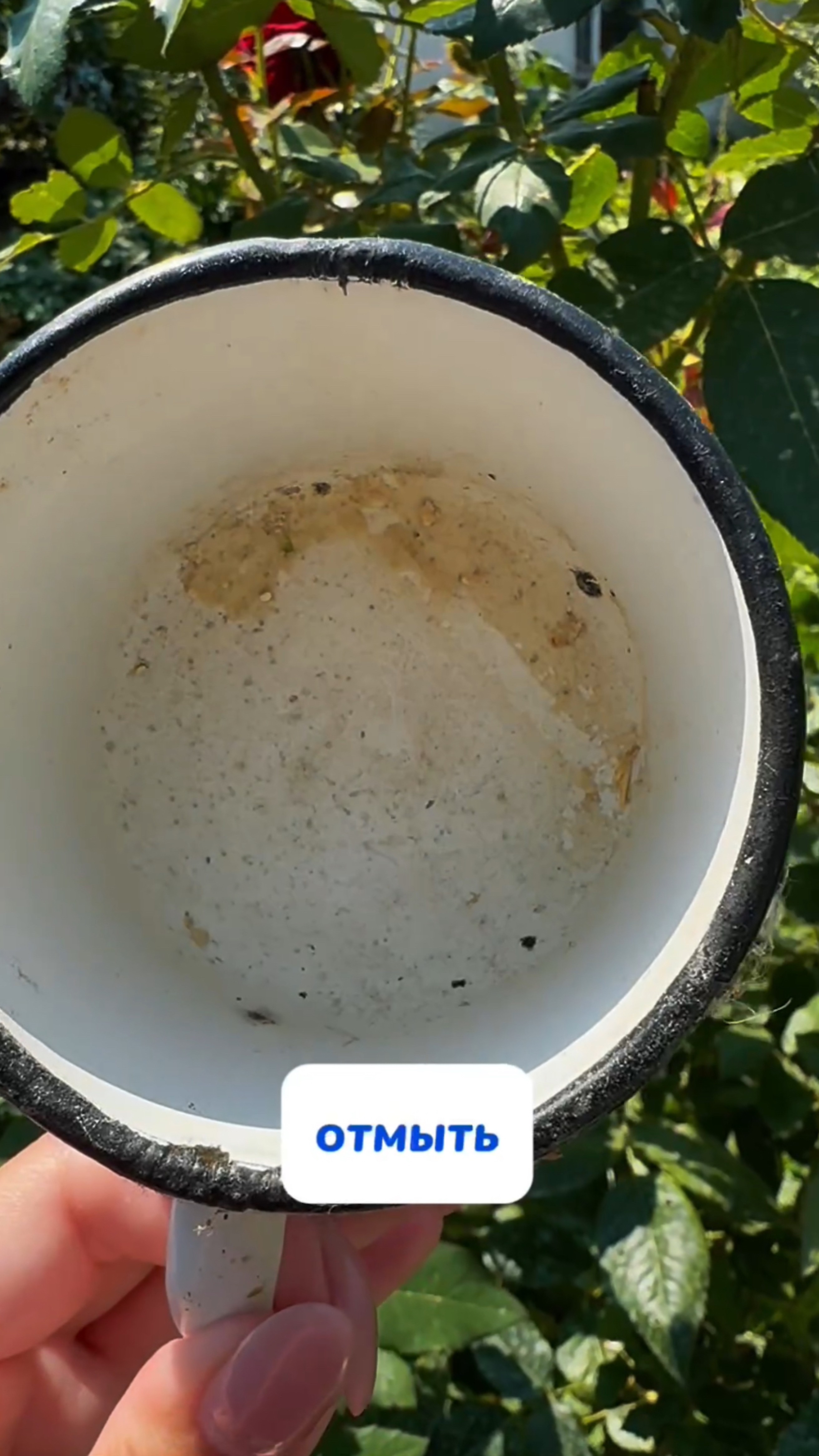 Арт: WB #234577722 Ozon #1664064287 Подходит для детских игрушек и посуды с застарелой грязью